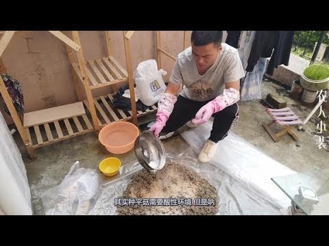 小伙配置种植蘑菇的培养料 利用太阳石灰杀菌 这操作六六六啊 Youtube