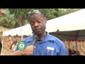 BVI Red Cross Men's Health Fair - Part 2