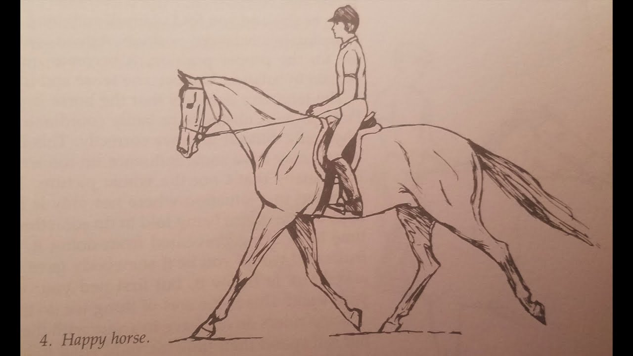 Kismet Quotes; Sally Swift. 