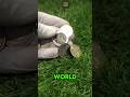 If You Have These Pennies You Are So Lucky! #coins #money #shorts #coinvalueguide