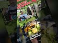 Si tu aimes, la nature, la cuisine, la chasse, la pêche et le vin ? Abonne toi !