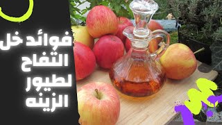 كيفيه استخدام خل التفاح وفوائده وطريقه تقديمه