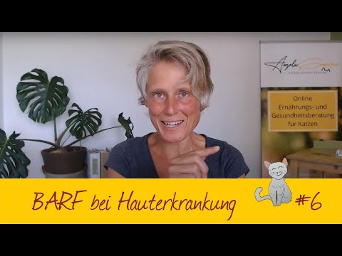 Video: Wie man den Mund eines Hundes desinfiziert