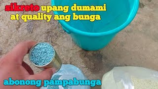 paano mag abono ng pampabulaklak at pampabunga