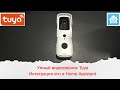 Видеозвонок для умного дома Tuya. Тест звука и подключение его в Home Assistant
