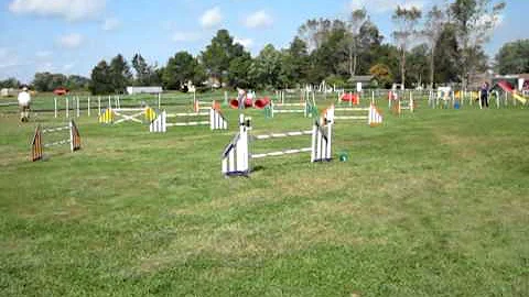 Jumpers with Weaves Novice A