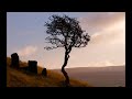 Говард Лавкрафт- Дерево на холме (Аудиокнига) Классики ужасов TV