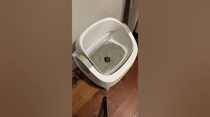 Having an self cleaning cat litter box really does make a massive difference