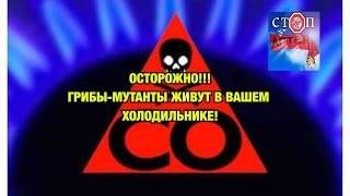 Почему вредно хранить продукты в холодильнике!(, 2017-02-25T20:08:21.000Z)