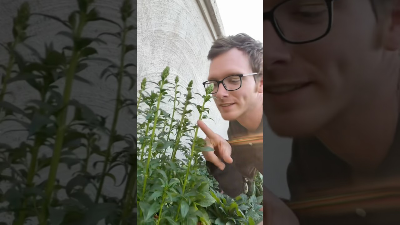 Обновление информации о цветочном бутоне