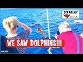 American on AIDA - Dolphins and Whale Watching on Tenerife! Swimming in the Ocean - AIDAperla