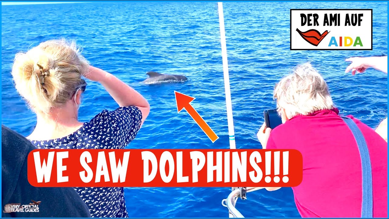 American on AIDA - Dolphins and Whale Watching on Tenerife! Swimming in the Ocean - AIDAperla