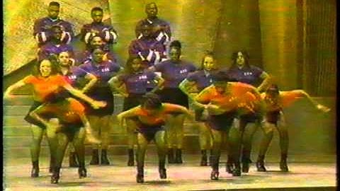 Omega, Alpha, Zeta, Delta, Sigma, Kappa, Phi Beta Sigma - Tribute for Eddie Robinson NAACP Awards