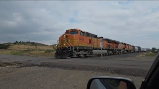 North bound mixed freight train, littleton u-pull colorado. (No horn oddly)