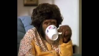 PG Tips advert 1994
