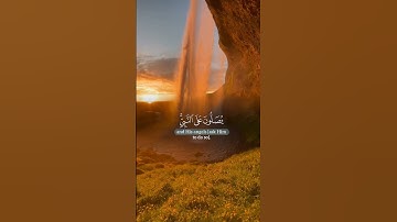 ان الله وملائكته يصلون على النبي #قرآن#قران_كريم  #اكسبلور #fyp @أجملتلاواتالقرآنالكريم-ض8ظ