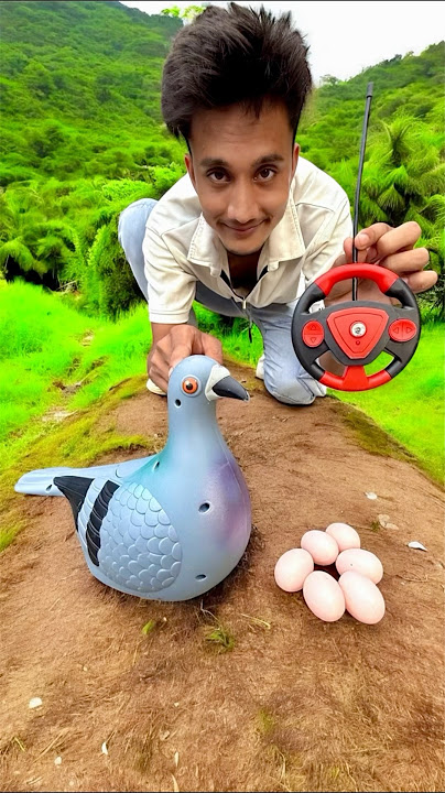 Download lagu Remote Control Birds Pigeon deko😳