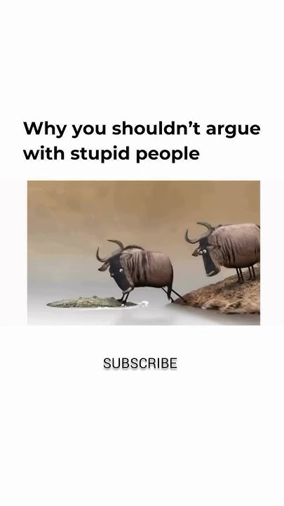 youtube.com