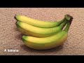 Healthy Drink & Food ideas🍎🍏