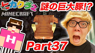 おんりーピグリン Mp3