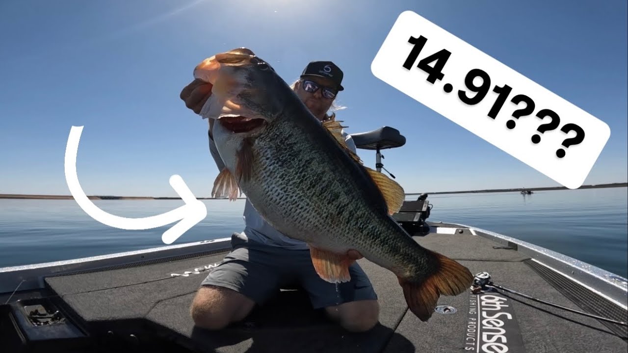 Almost 15 pound bass???