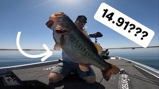 Almost 15 pound bass???