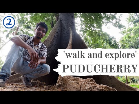 Video: Cele mai bune lucruri de făcut în Pondicherry