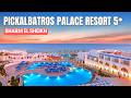 Pickalbatros Palace Sharm El Sheikh | Is It Worth The Booking in 2026?