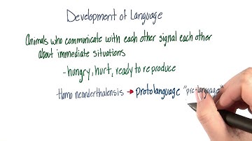 Development language - Intro to Psychology