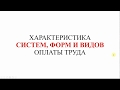 Системы, формы и виды заработной платы | ЗАРПЛАТА для начинающих