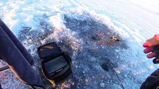 видео: ГЛИБИНА БІЛЬШЕ 10 МЕТРІВ! Підводна зйомка. Зимова рибалка 2024 на водосховищі картинка: ГЛИБИНА БІЛЬШЕ 10 МЕТРІВ! Підводна зйомка. Зимова рибалка 2024 на водосховищі