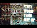 Celestial Sanctuary - They Worm Their Way In (Mix | Lyric Video)