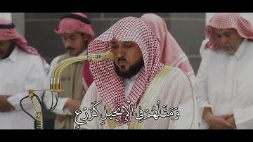 ماهر المعيقلي سورة الفتح #ماهر_المعيقلي #المصحف #اكسبلور #تيك_توك #سورة_الفتح