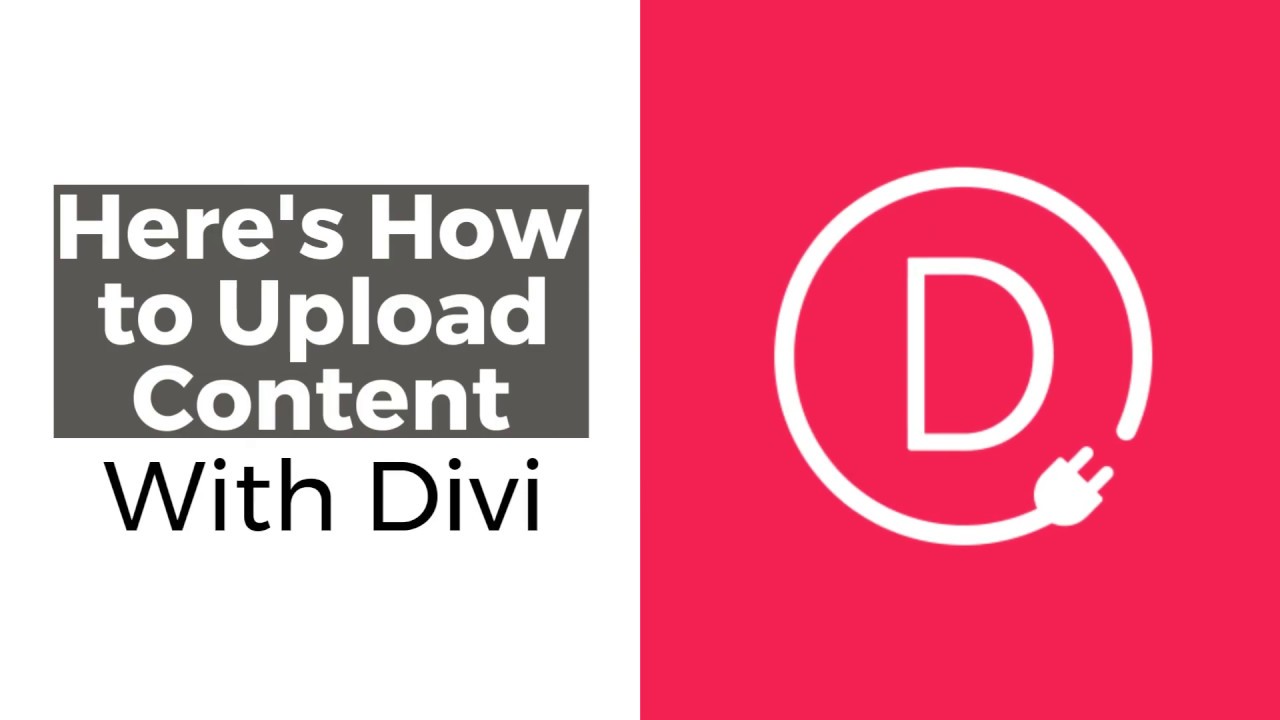 Here s How To Upload E Learning Content With Divi Builder In WordPress here-s-how-to-upload-e-learning-content-with-divi-builder-in-wordpress