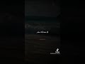 ماذا قال سيدنا علي عندنا رئي رجلا يستغفر الشيخ كشك اجمل حالات واتس 
