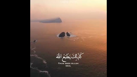 تلاوة قرأنية خاشعة ..ولقد ضربنا للناس فى هذا القرأن من كل مثل