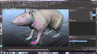 Rat Rig Test