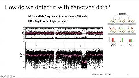 CNV analysis with Daniel Howrigan