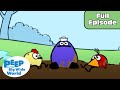 Chirp's Muddy Adventures and Lessons