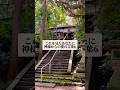 【㊗️2万再生】これを見たあなたに、神様からの愛の言葉6 #神社 #心に響く言葉 #shorts #やる気くん #パワースポット