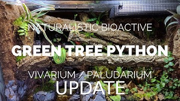 Updates about the Naturalistic Green Tree Python Vivarium