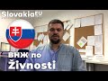 ВНЖ В СЛОВАКИИ ПО ЖИВНОСТИ / что такое Živnosť