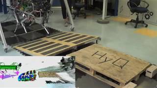 Passive Whole-body Control for Quadruped Robots