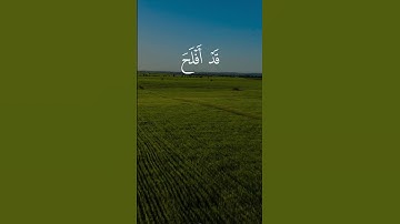 سورة المؤمنون - الشيخ محمد اللحيدان