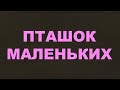 Пташок маленьких/299/Дитячі/Життя Церкви/Євангельські пісні