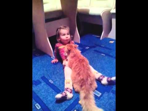 This Cat Likes this Baby Girl