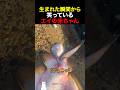 生まれた瞬間から笑っているエイの赤ちゃん