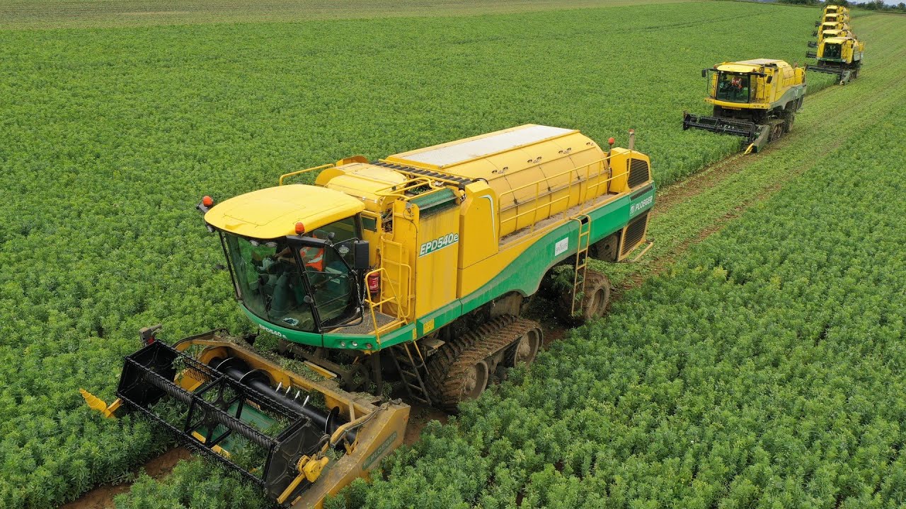 RÉCOLTE DE FÈVES DE MARAIS 2020 XXL | 7X PLOEGER | 2x FENDT 930