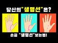 당신의 생명선은 손금은 생명선 보는법 손금 보는 법 건강 수명을 보는 법 돈복 있는 손금 말년운 좋은 손금 손금으로 운명과 미래를 알 수 있다 
