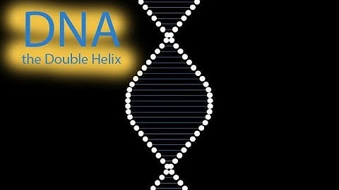 DNA the Double Helix Animation with PowerPoint